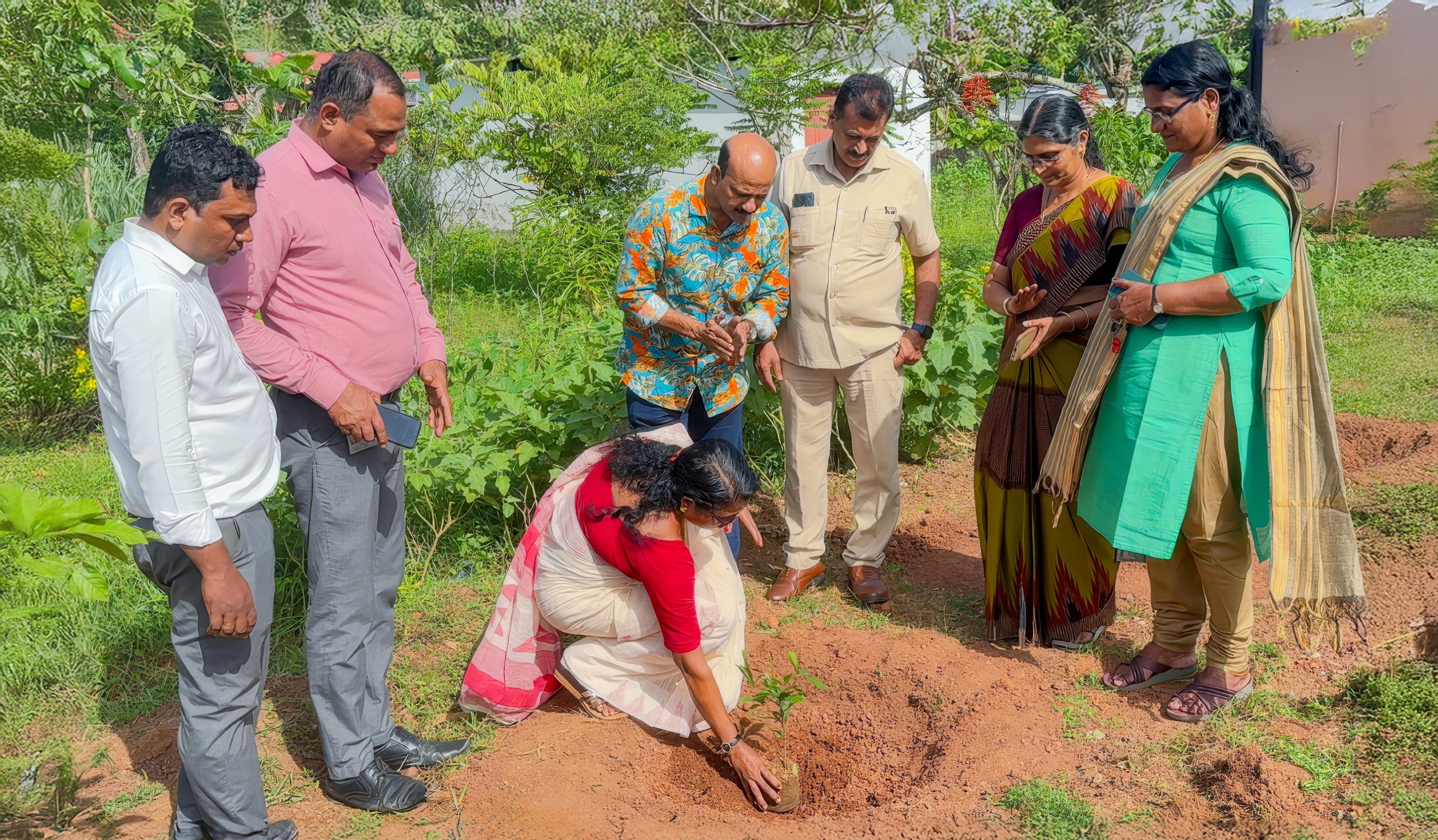 A featured image for this section